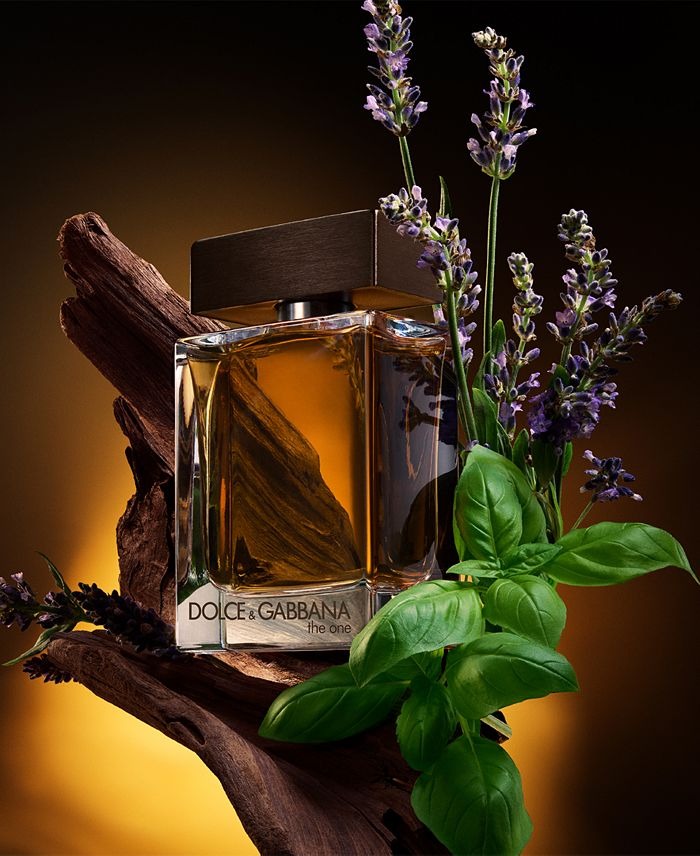 The One Eau De Toilette Spray for Men by Dolce & Gabbana – Spicy Woody 2026